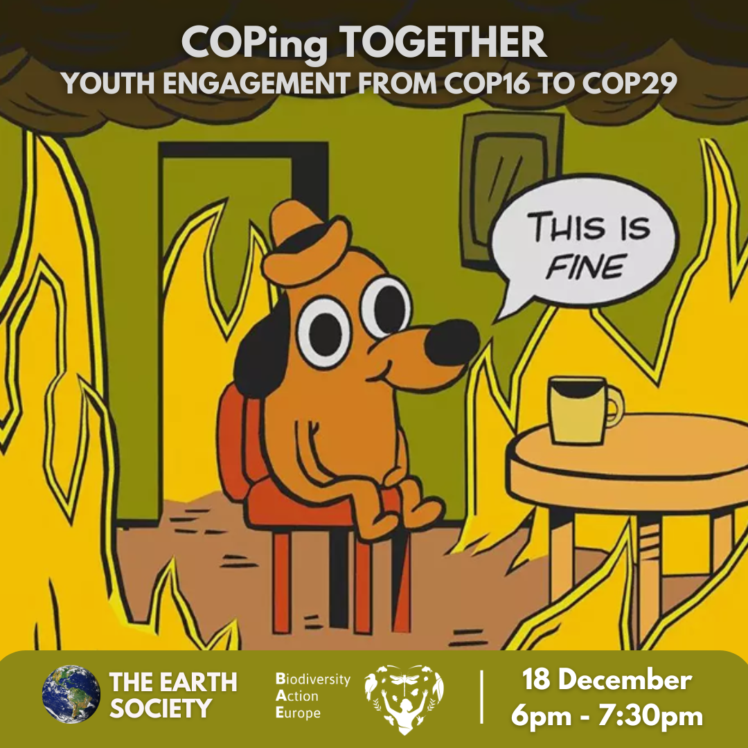 COPing together - Youth Engagement from COP16 to COP29