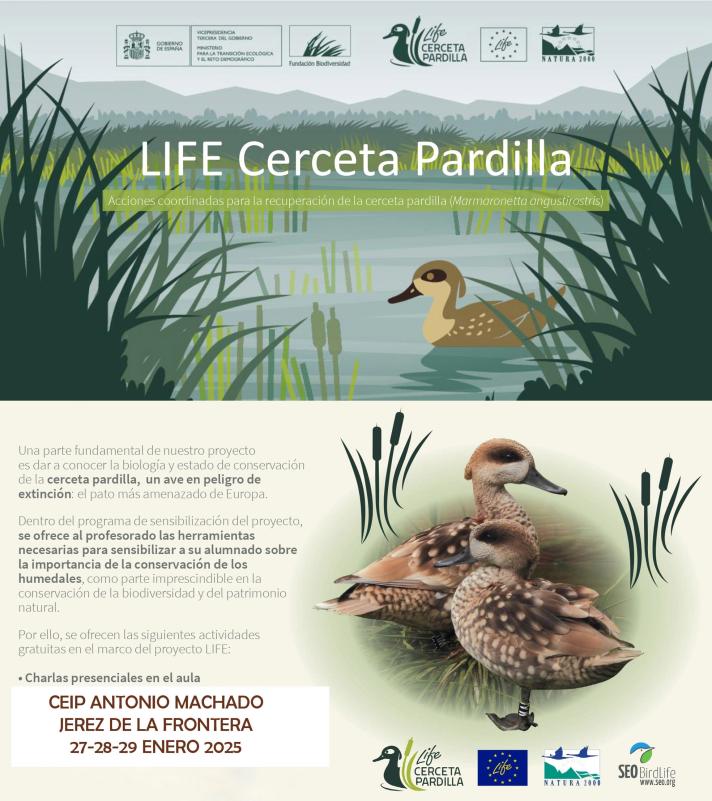 Life Cerceta Pardilla
