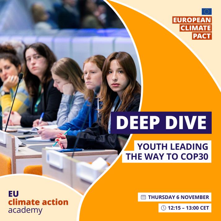 Image with youth webinar details