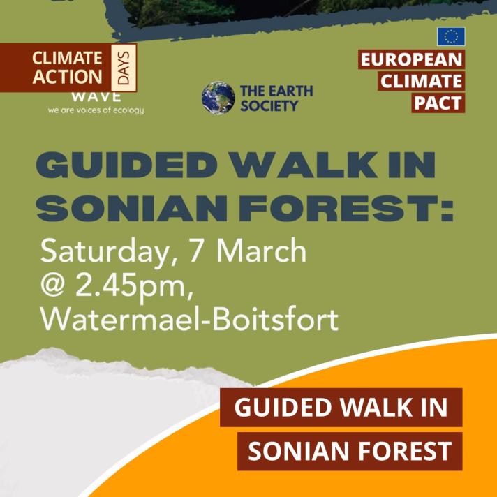 Climate Action Days: Guided Walk in Sonian Forest