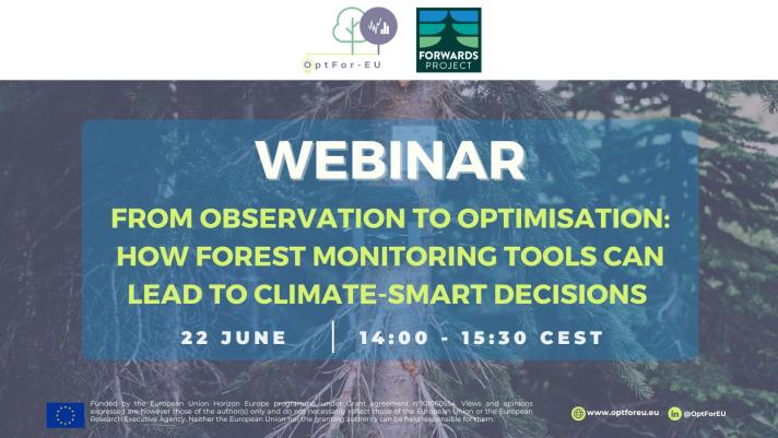 From Observation to Optimisation: How Forest Monitoring Tools can lead to Climate-Smart Decisions 