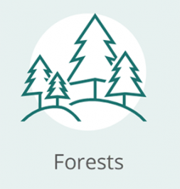 Forests v3