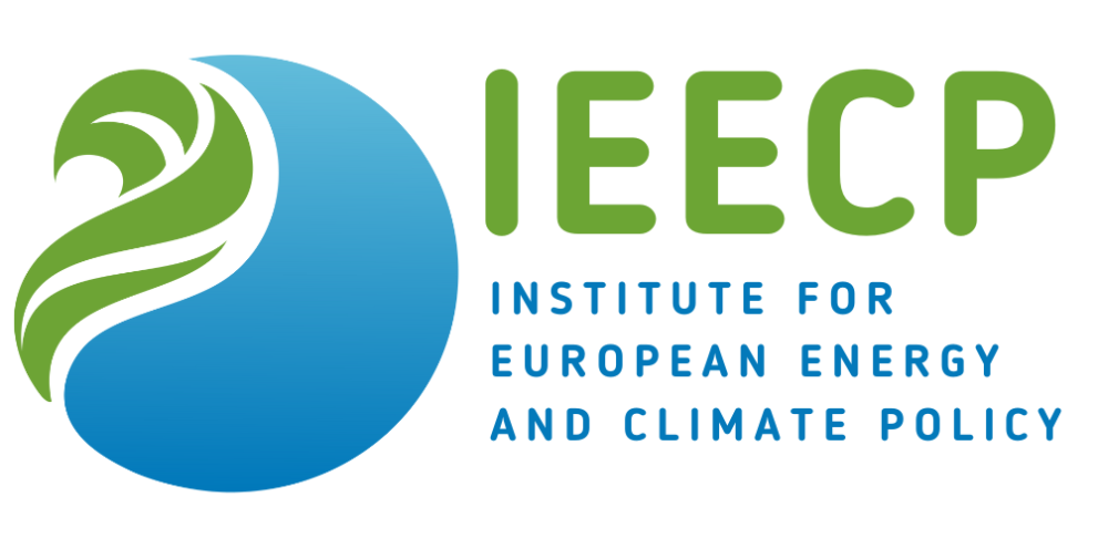Institute for European Energy and Climate Policy (IEECP)
