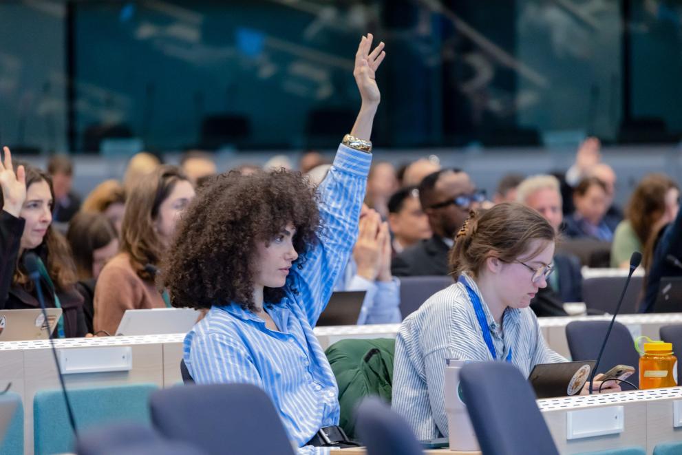 Interactive sessions gave participants the chance to share views and ask questions 