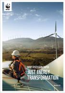 WWF Discussion paper – Just energy transformation