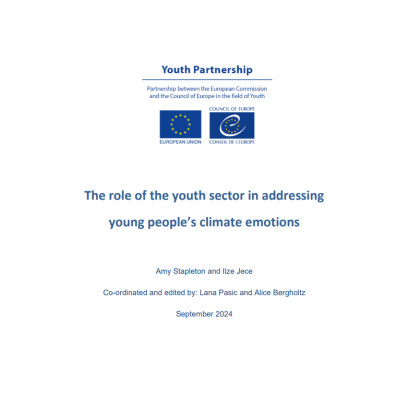 The role of the youth sector in addressing young people’s climate emotions