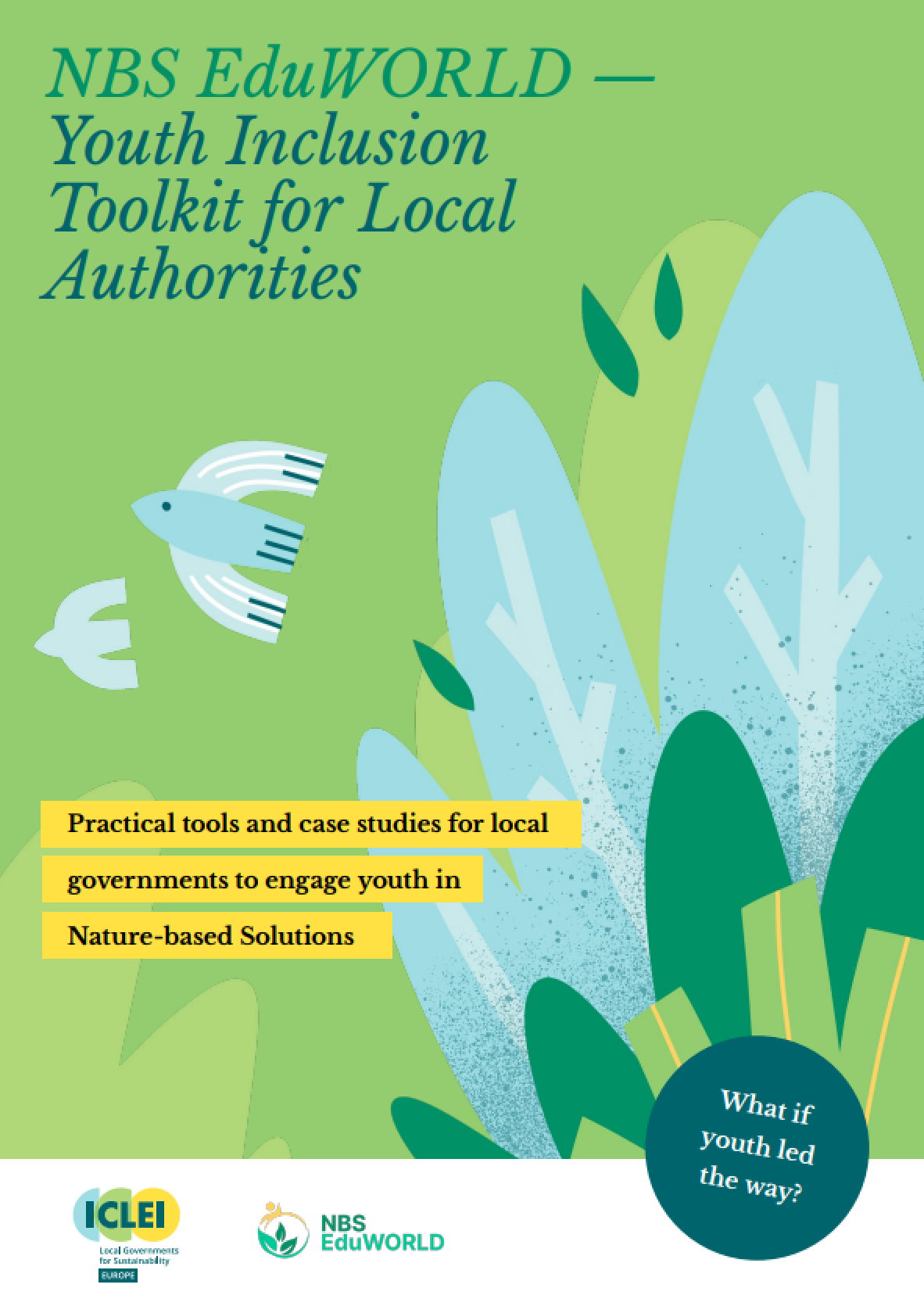 NBS EduWORLD Youth Inclusion Toolkit for Local Authorities