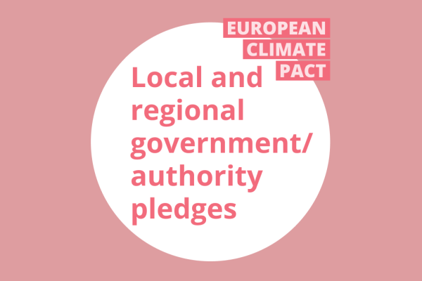 Local and regional government/authority pledges